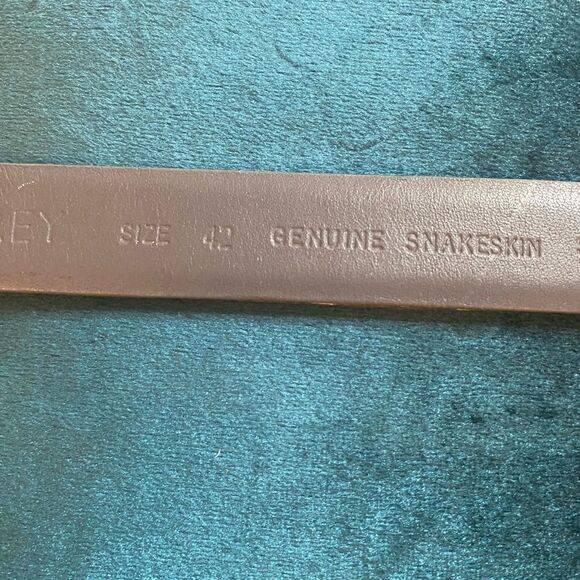 Austin Grey genuine snake skin belt, L 42 inch main image 4